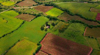 Diğer Tarım Arazileri