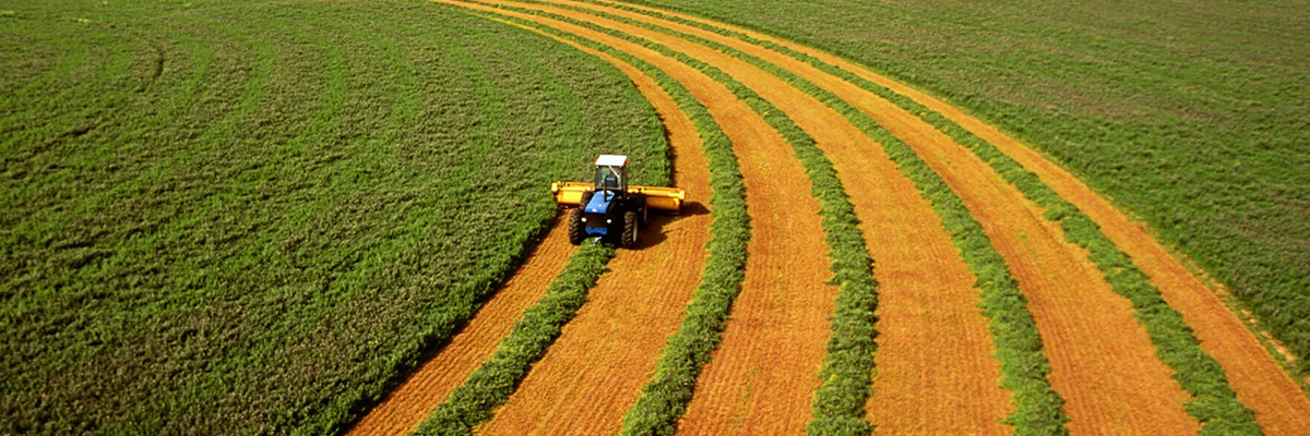 Tarım Arazilerinde Yatırımın Altın Kuralları
