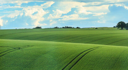 Arazi Alırken Yapılan 5 Büyük Hata