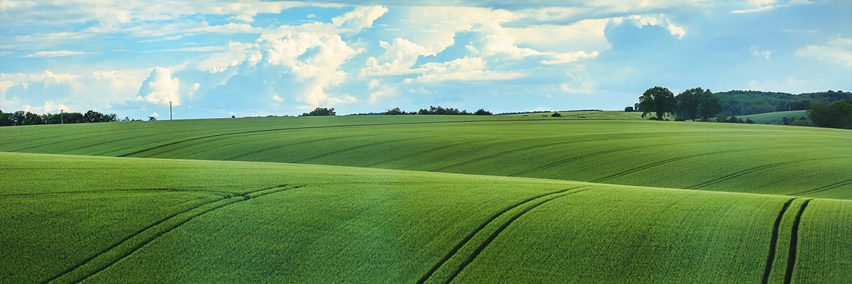 Arazi Alırken Yapılan 5 Büyük Hata