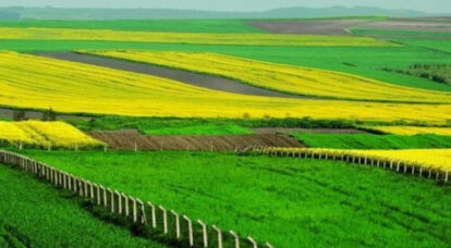 Faizler Düşmeden Arazi Almanın Tam Zamanı