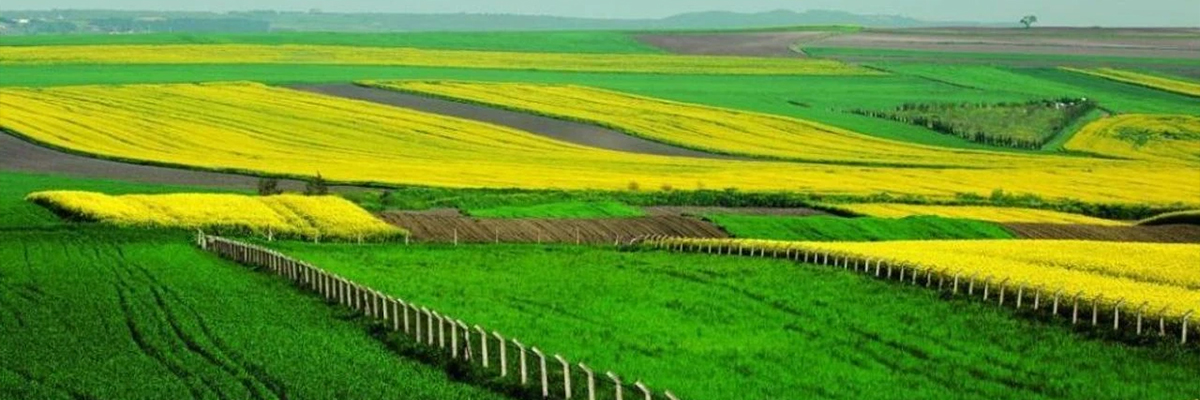 Faizler Düşmeden Arazi Almanın Tam Zamanı