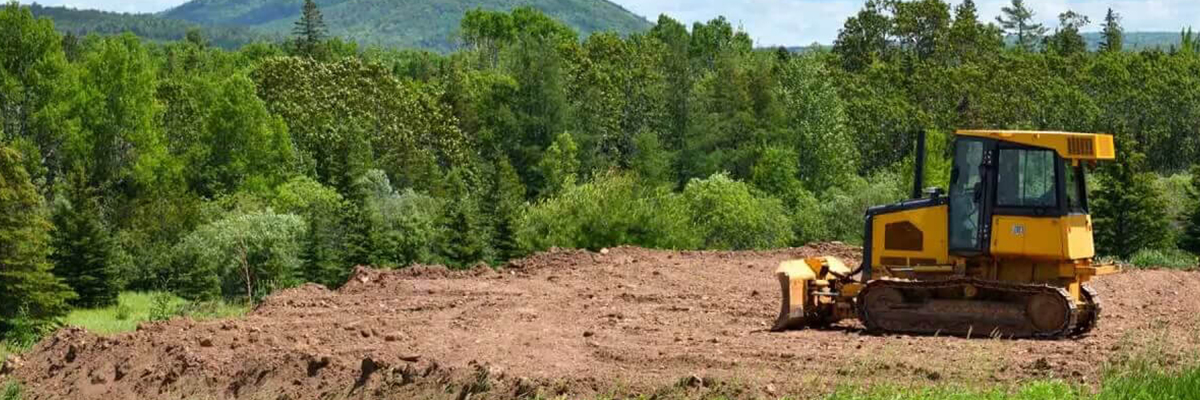 Kiralanan Arazilerde Elde Edilecek Karlar